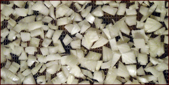 Diced onions on dehydrator tray before drying.
