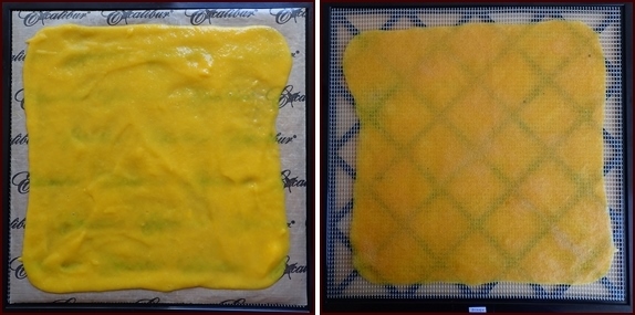 Dehydrating Mango Fruit Leather, before and after.