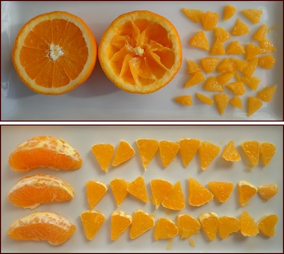 Grapefruit cut and section cut methods of cutting oranges for dehydration.