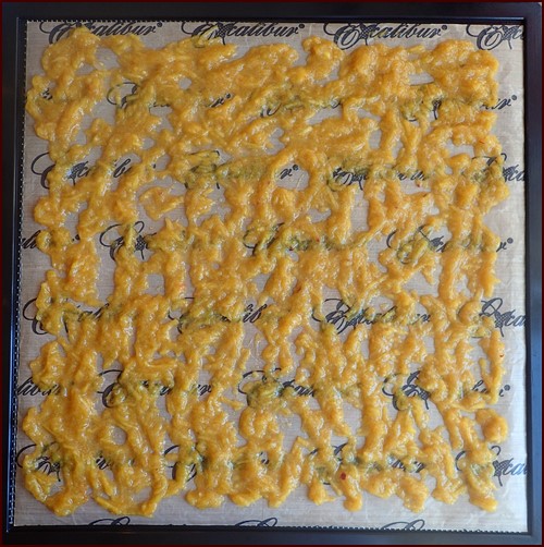 One cup of grated peaches spread thinly on Excalibur dehydrator tray using non-stick sheet.