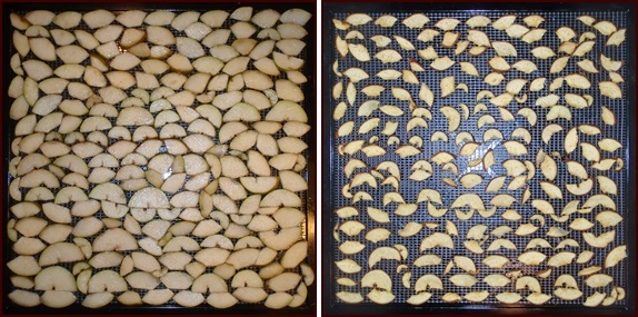 Dehydrating pears, before and after.