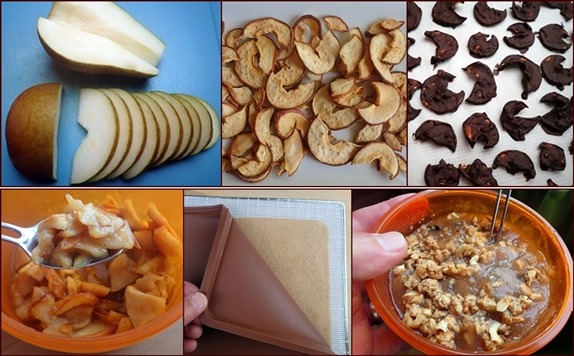 Dehydrating Pears 6 Ways
