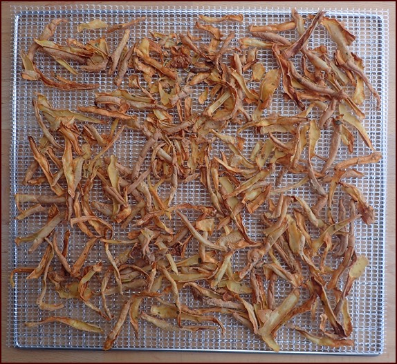 Dehydrating potato skins on mesh sheet-