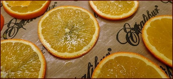 Dehydrating Sliced Oranges on Excalibur Nonstick Sheet