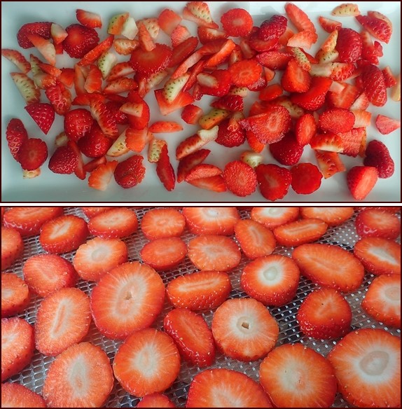Guide to Dehydrating Strawberries Backpacking Chef