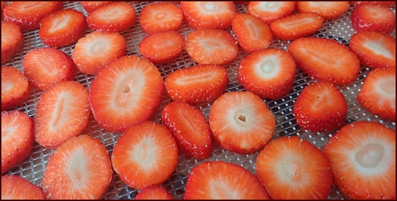 Dehydrating Fruit Guide from Backpacking Chef