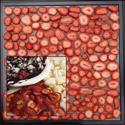 Dehydrating Fruit