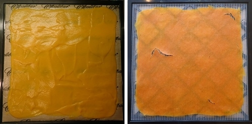 Dehydrating Sweet Potato Soup, before and after on Excalibur dehydrator trays.