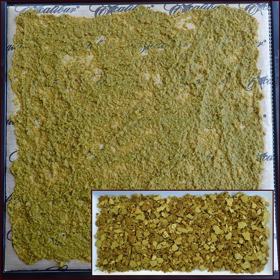 Contents of one jar of Thai Kitchen green curry paste on dehydrator tray. Crumbles by hand when dry.