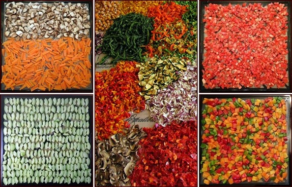 The Backpacking Chef Comprehensive Guide to Dehydrating Vegetables.