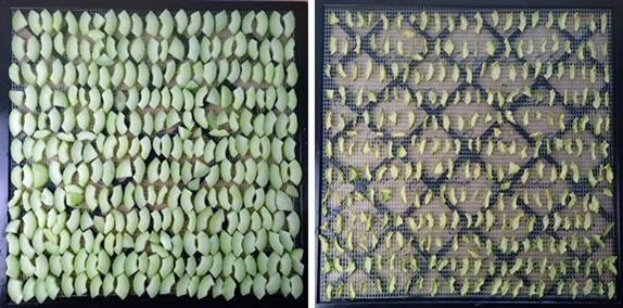 Dehydrating Cucumbers