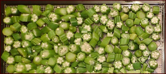 Dehydrating Okra