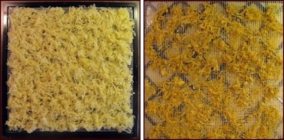 Dehydrating Sauerkraut