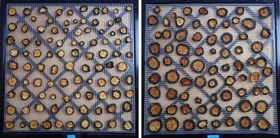 Dehydrated zucchini chips. Raw on left, steamed on right.