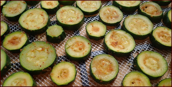 Dehydrating zucchini chips steamed and seasoned.