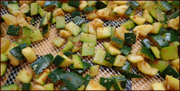 Seasoned zucchini skins on dehydrator tray.