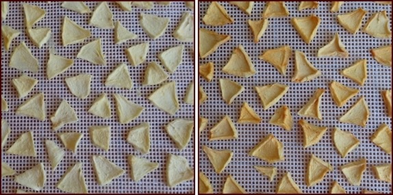 Gala apple slices treated with fresh lemon juice and water (left), no pretreatment (right).