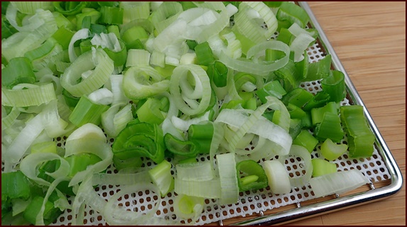 Green onions on dehydrator tray.