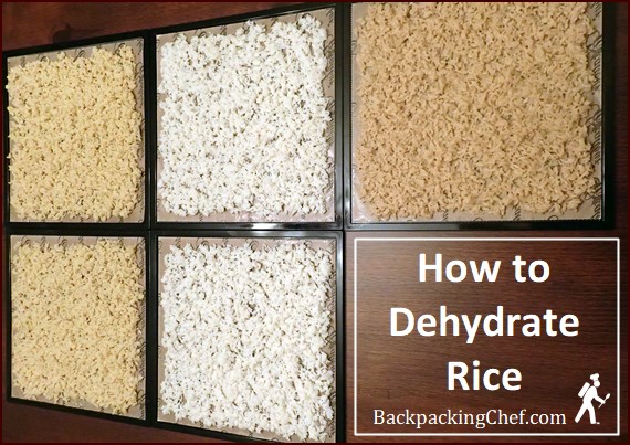 Dehydrating rice shown on Excalibur dehydrator trays. Rice precooked in broth.