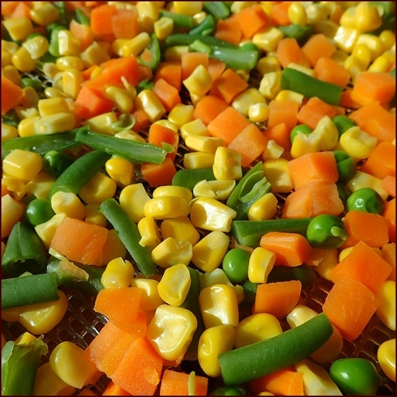 Mixed vegetables on dehydrator tray before drying.