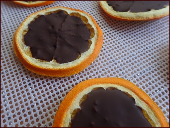 Orange sliced with chocolate hardened on top after refrigeration.