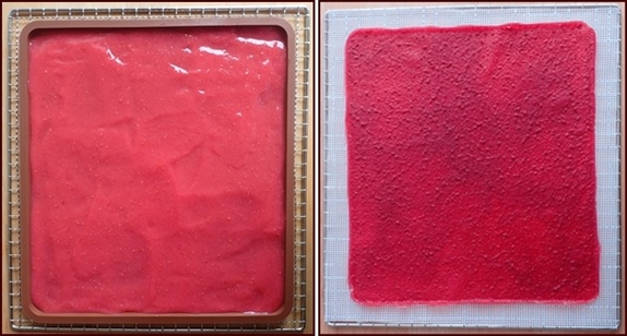 Red currents and peaches fruit leather before and after drying.