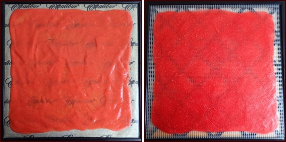 Rhubarb-Strawberry Fruit Leather on Excalibur Dehydrator trays, before and after.