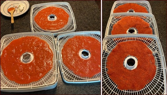Rhubarb-Strawberry Fruit Leather drying on Nesco FD-80 Dehydrator trays, before and after.