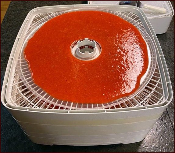 Strawberry Fruit Leather on fruit roll tray of Nesco FD-80 Dehydrator.