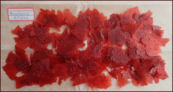 Strawberry fruit leather torn into pieces before rehydrating into pudding.