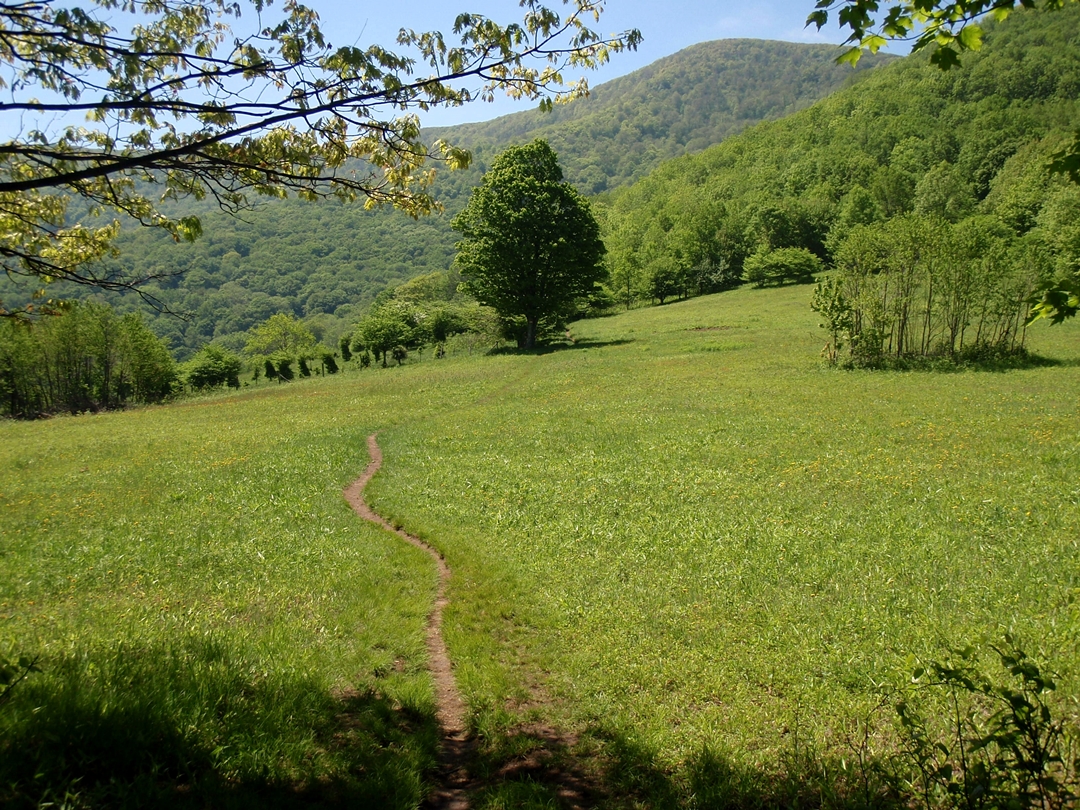Appalachian Trail going up Hump Mountain
