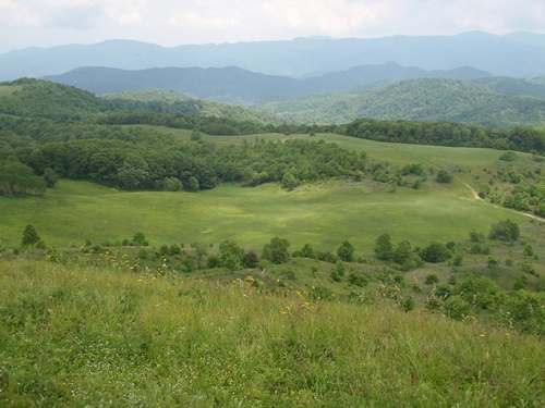 View from Max Patch, Appalachian Trail