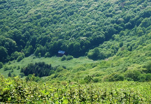 View from Appalachian Trail looking down at Overmountain Shelter, aka The Red Barn