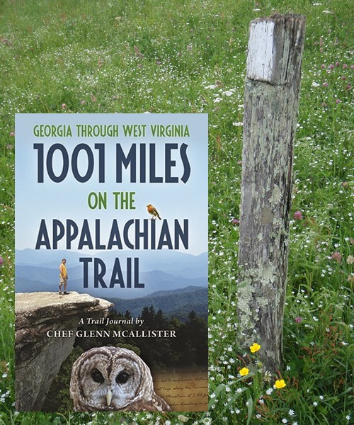 Appalachian Trail, white blaze on post