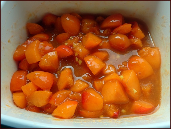 Ingredients for apricot-ginger fruit leather before blending.