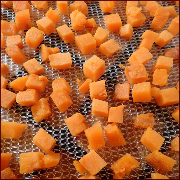 Baked sweet potato cubes before drying.