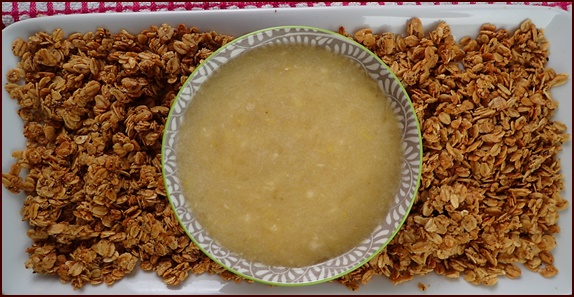 Homemade granola and banana purée before combining.