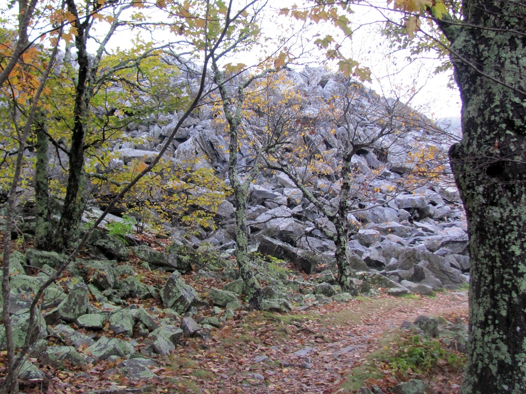 Blackrock Summmit, Appalachian Trail, Shenandoah National Park, Virginia.