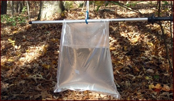 Vacuum seal bags make great camping water bags.