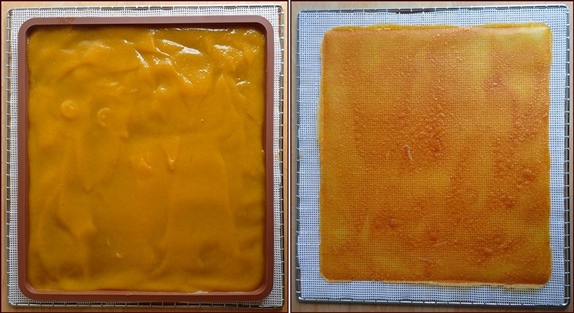 Carrot-nectarine fruit leather before & after dehydrating.