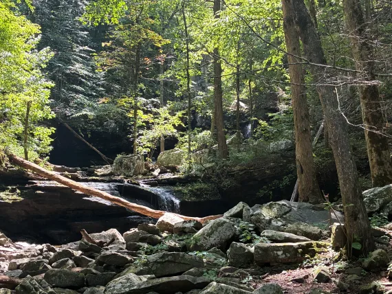 Cloudland Canyon Daniel Creek. Cloudland Canyon Daniel Creek.