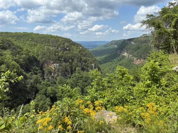 Cloudland Canyon Overlook. Cloudland Canyon Overlook.