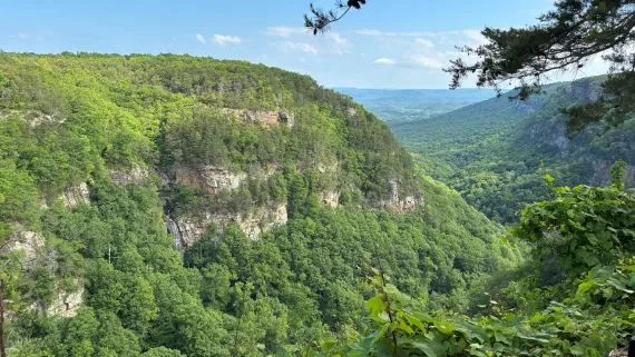 View of Cloudland Canyon. View of Cloudland Canyon.