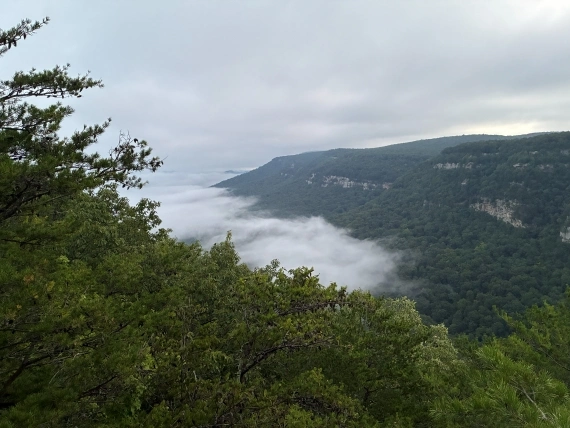 Cloudland Canyon before sunrise. Cloudland Canyon before sunrise.