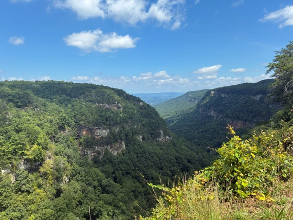 Cloudland Canyon view. Cloudland Canyon view.