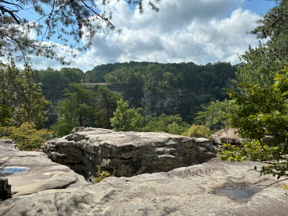 View from Cloudland Canyon West Rim. View from Cloudland Canyon West Rim.