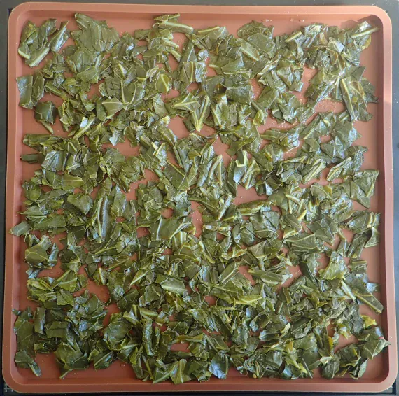 Cooked collard greens on silicone dehydrator tray.