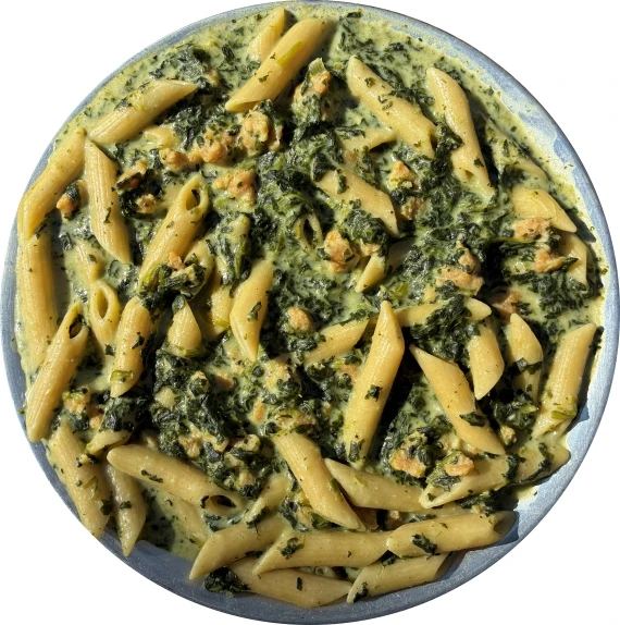 Chicken with Creamy Spinach Sauce over Penne.