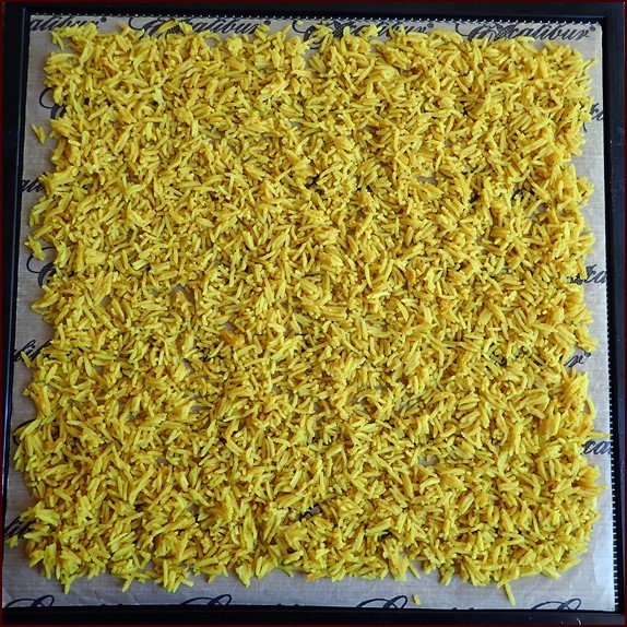 Cooked basmati rice on Excalibur dehydrator tray before drying.