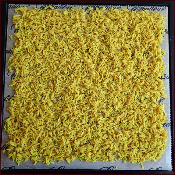 Cooked basmati rice on Excalibur dehydrator tray before drying.